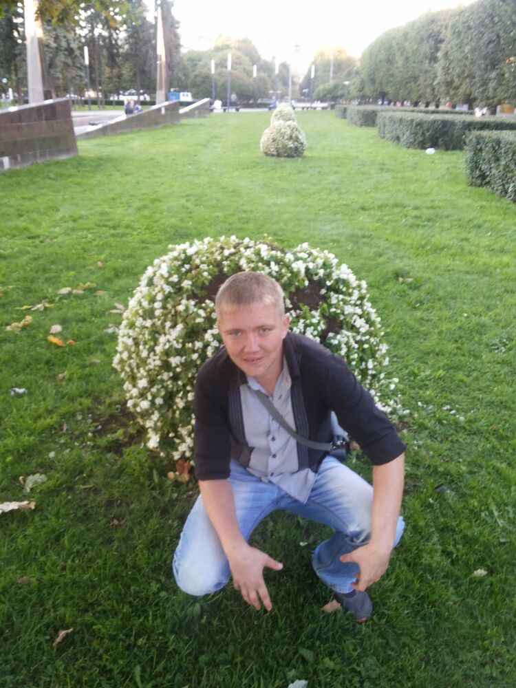  24228698  , 40 ,    -