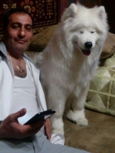  --,   Samvel, 55 ,   