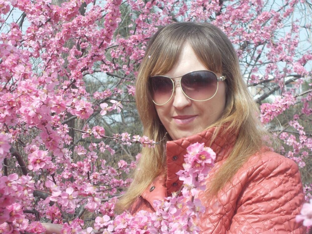  48532408  , 46 ,    -