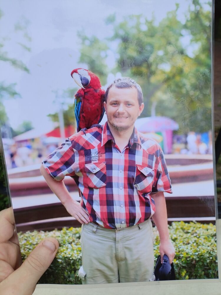 ���� 45856948 ������� ������, 30 ���, ���� ���������� � ������