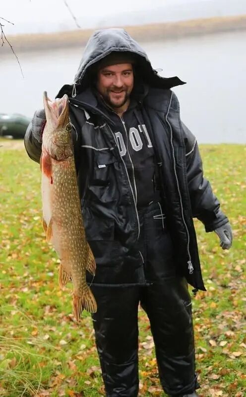 ���� 31786428 ������� �������, 42 ����, ���� ���������� � ������������