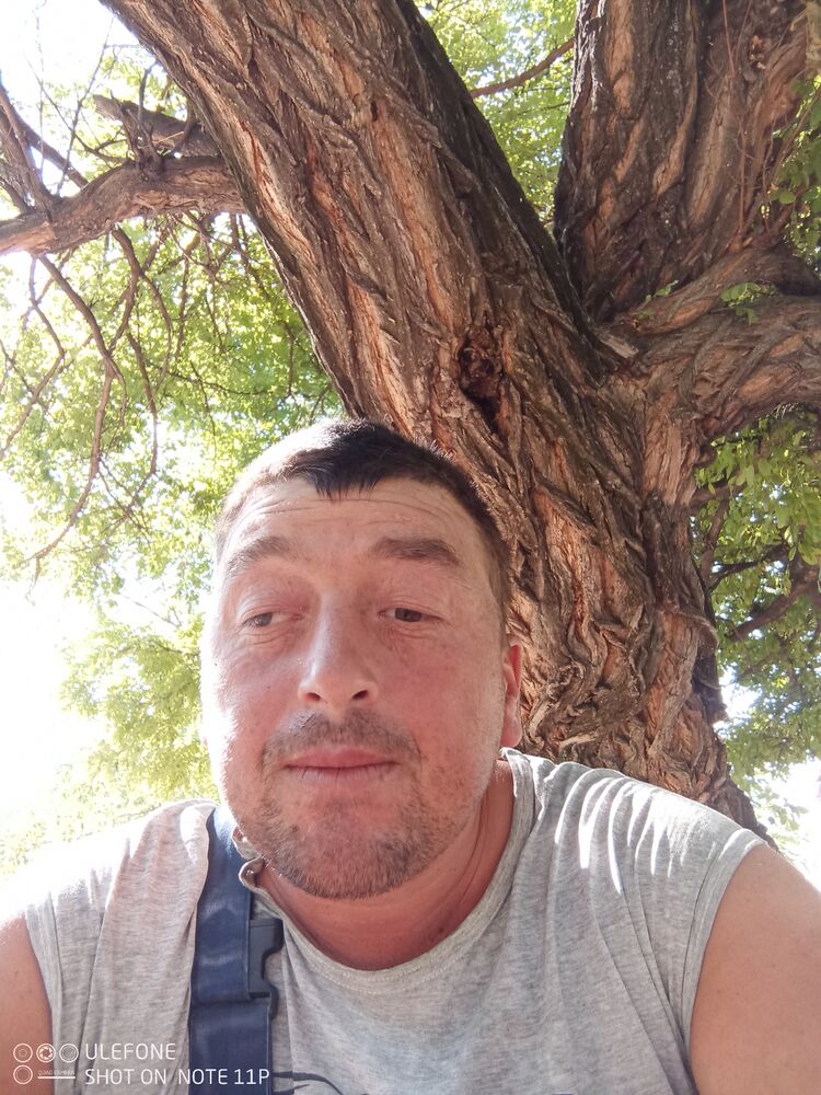  53017728  , 34 ,    