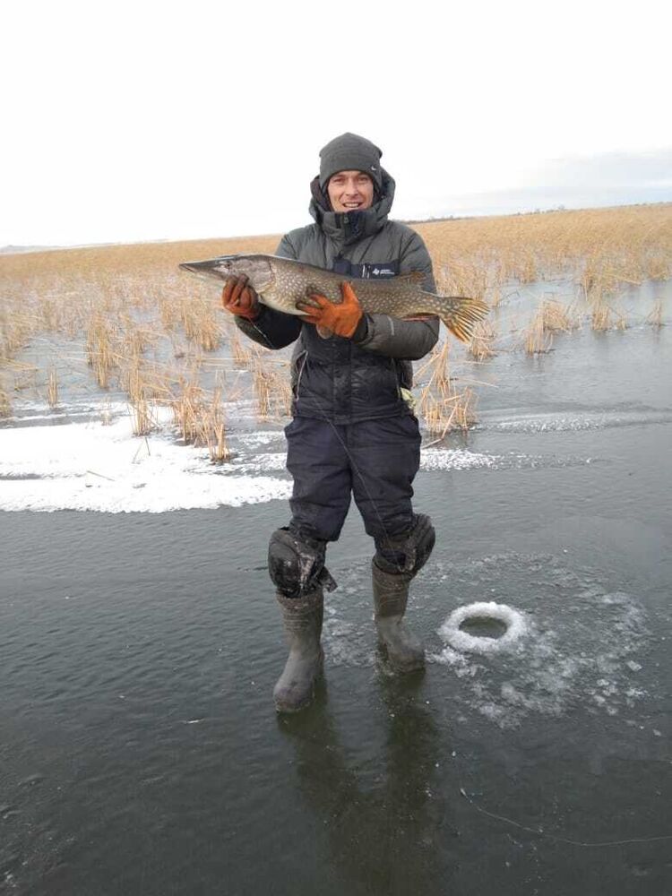 ���� 29043558 ������� ����, 37 ���, ���� ���������� � ���������