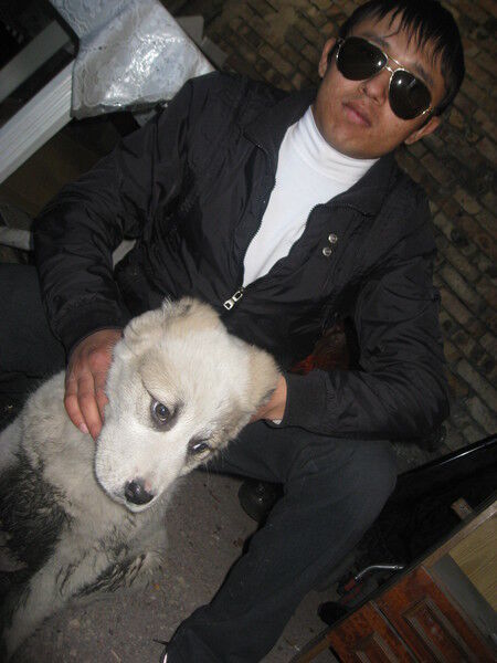 ���� 6040548 ������� ����, 36 ���, ���� ���������� � ���������