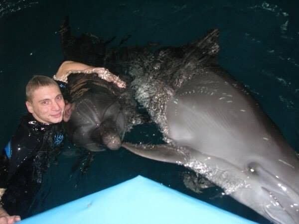 ���� 15321748 ������� ������, 31 ���, ���� ���������� � ������