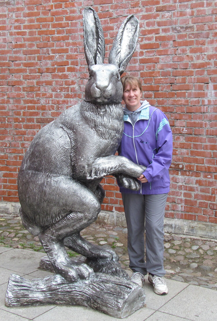 ���������� �������, ���� ������� �������, 55 ���, ������������ ��� ������, ����� � ���������, c�������� ���������