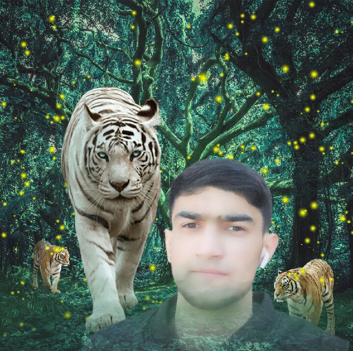 ���������� ������������, ���� ����� �������, 24 ����, ������������ ��� ������, ����� � ���������, c�������� ���������, ���������