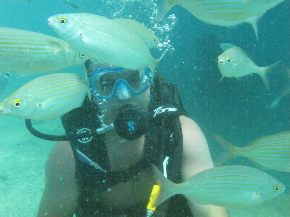 ���������� ���������, ���� ������� ������, 40 ���, ������������ ��� ������, ����� � ���������