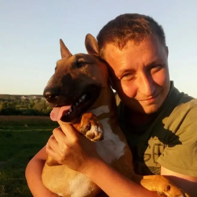 ���� 26905678 ������� ������, 36 ���, ���� ���������� � �������