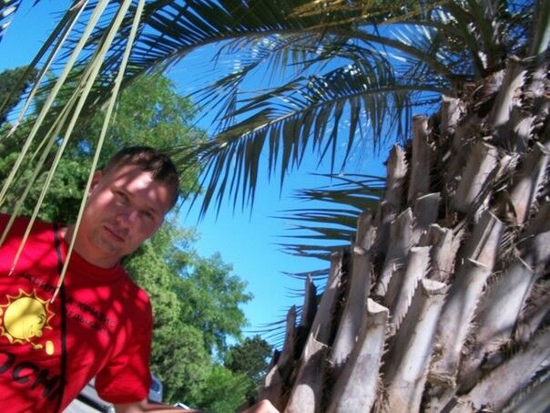 ���������� �����������, ���� ������� �������, 39 ���, ������������ ��� ������, ����� � ���������, c�������� ���������