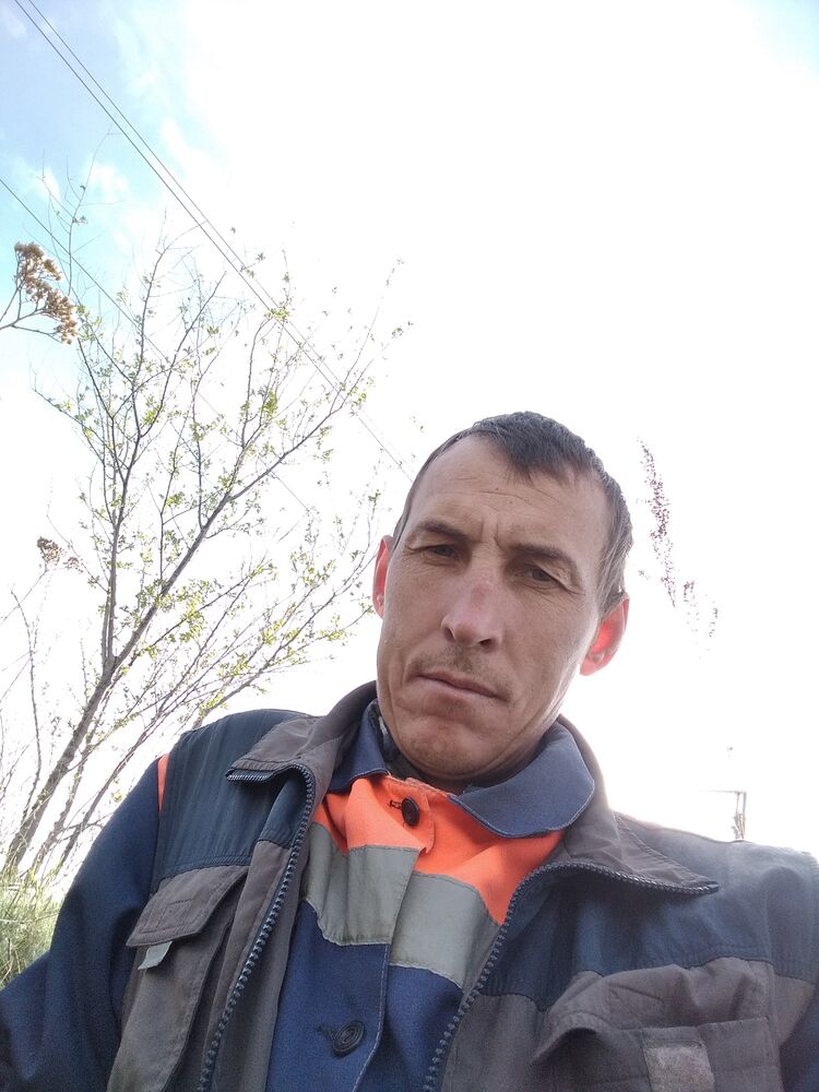  34347168  , 39 ,     