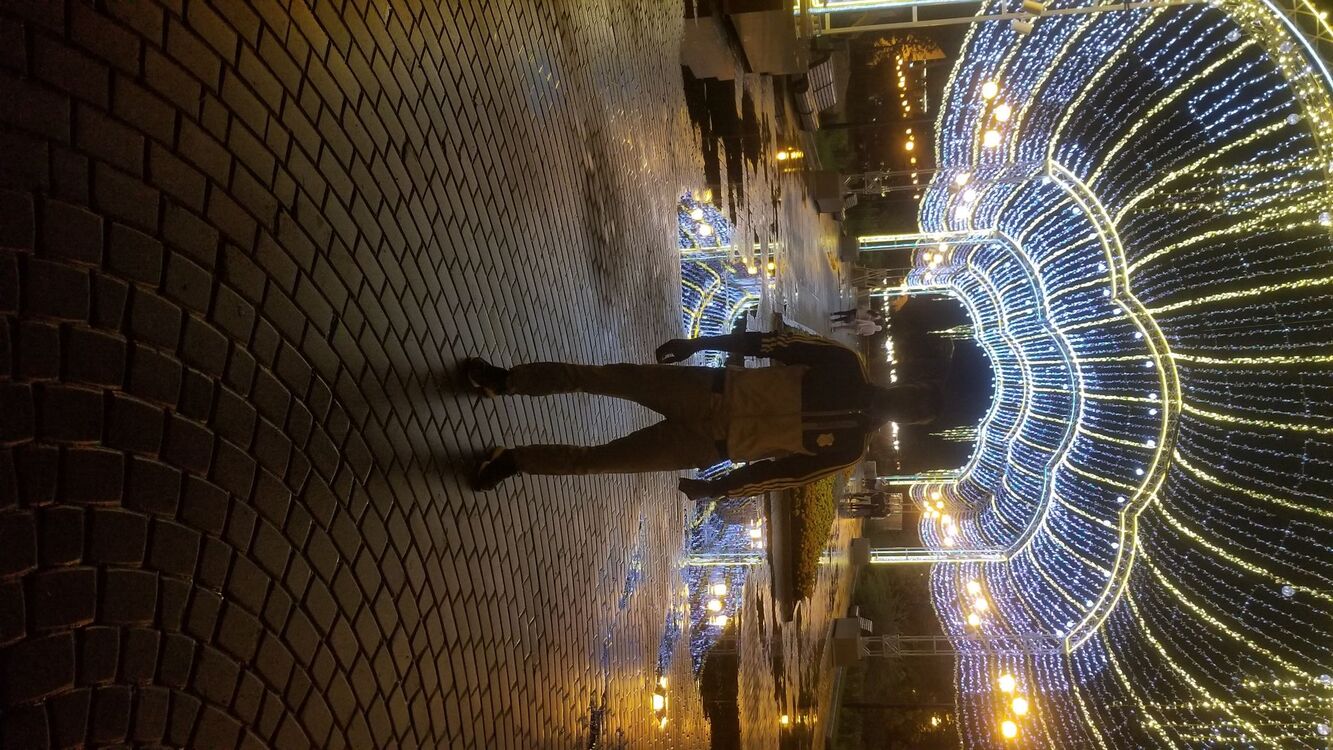 ���� 31224558 ������� �������, 32 ����, ���� ���������� � �����-����������