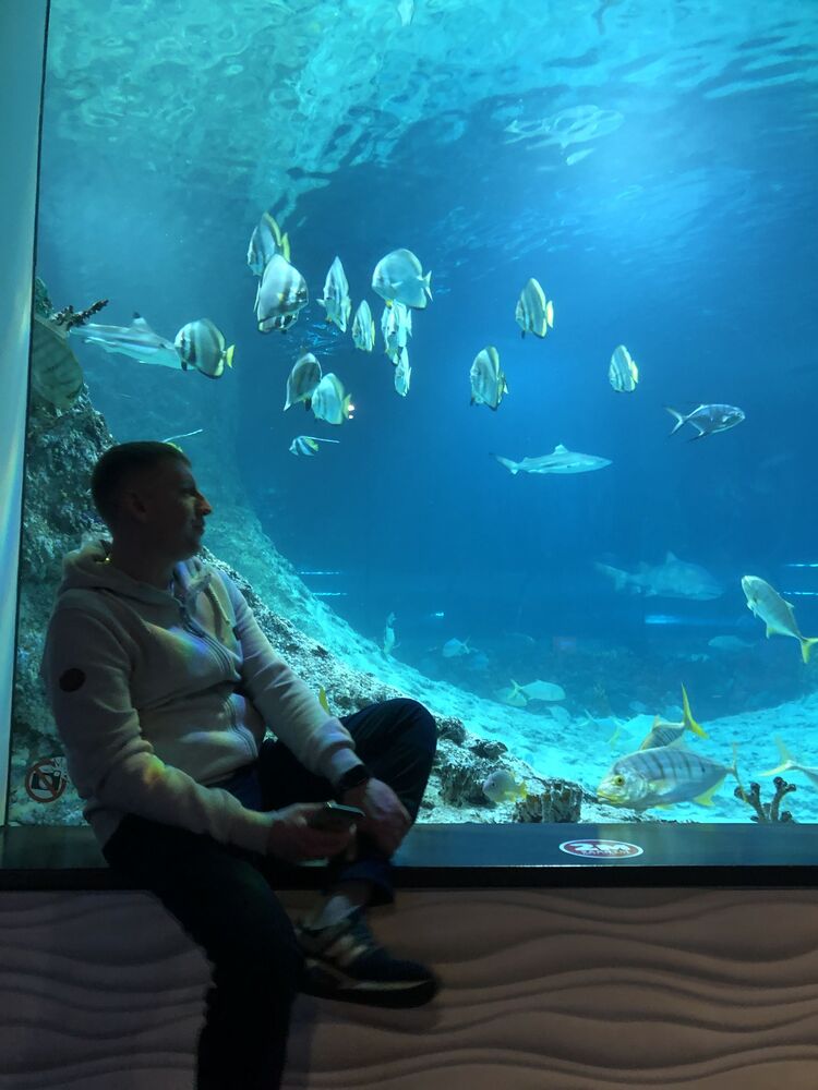 ���� 34891008 ������� ������, 41 ���, ���� ���������� � ������