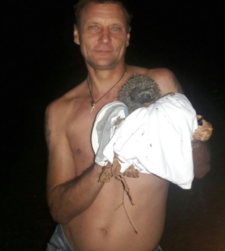 ���� 32817588 ������� ������, 56 ���, ���� ���������� � �����