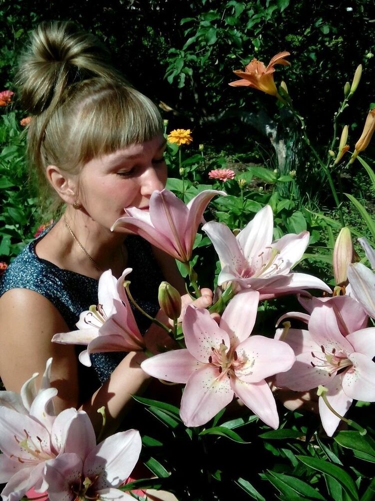  ,   , 53 ,  