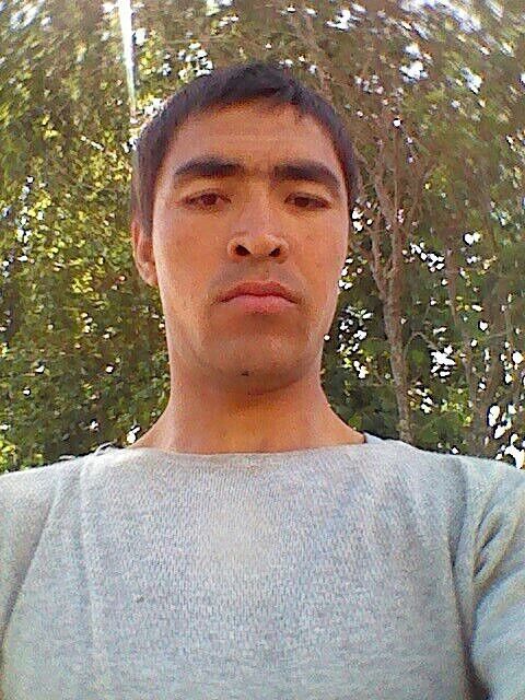 ���������� ������, ���� ������� ���������, 38 ���, ������������ ��� ������, ����� � ���������