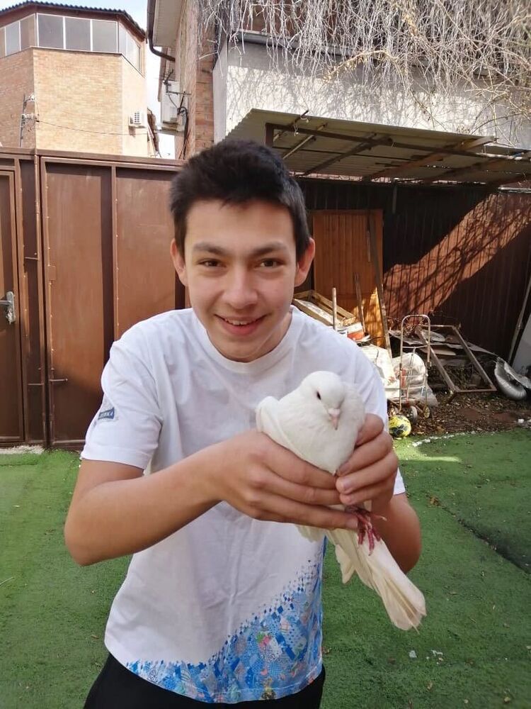  --,   , 21 ,   ,   