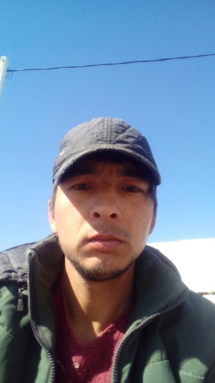  33708728  , 31 ,    
