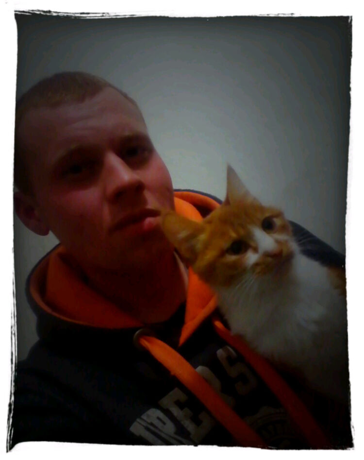 ���� 8566328 ������� �������, 29 ���, ���� ���������� � ����������