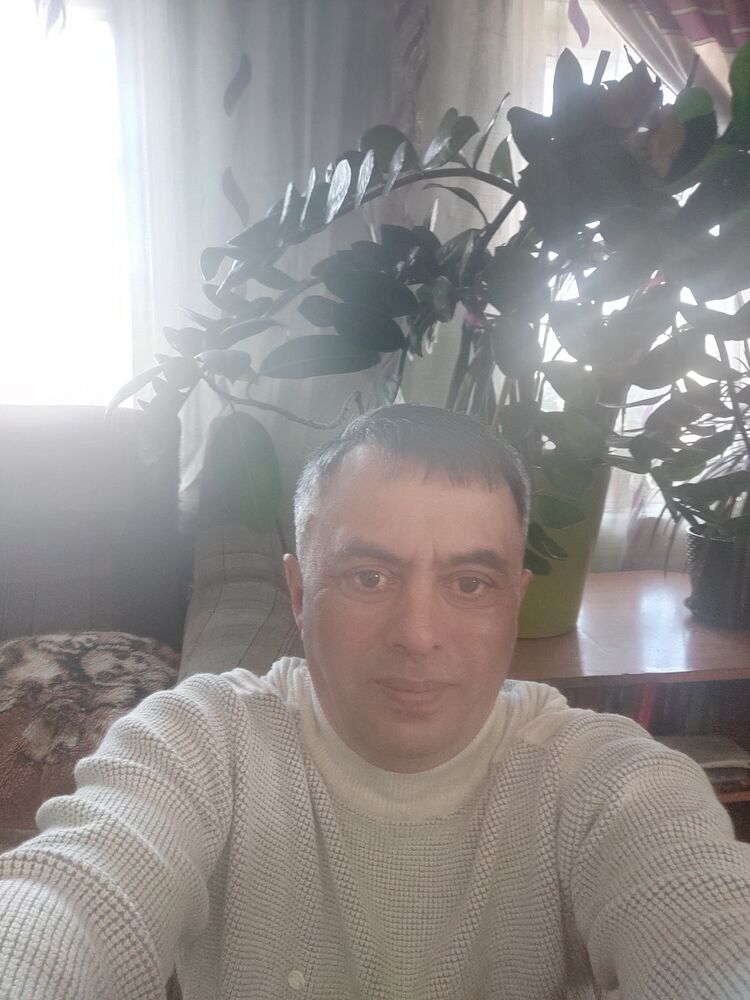  49726788  , 51 ,    
