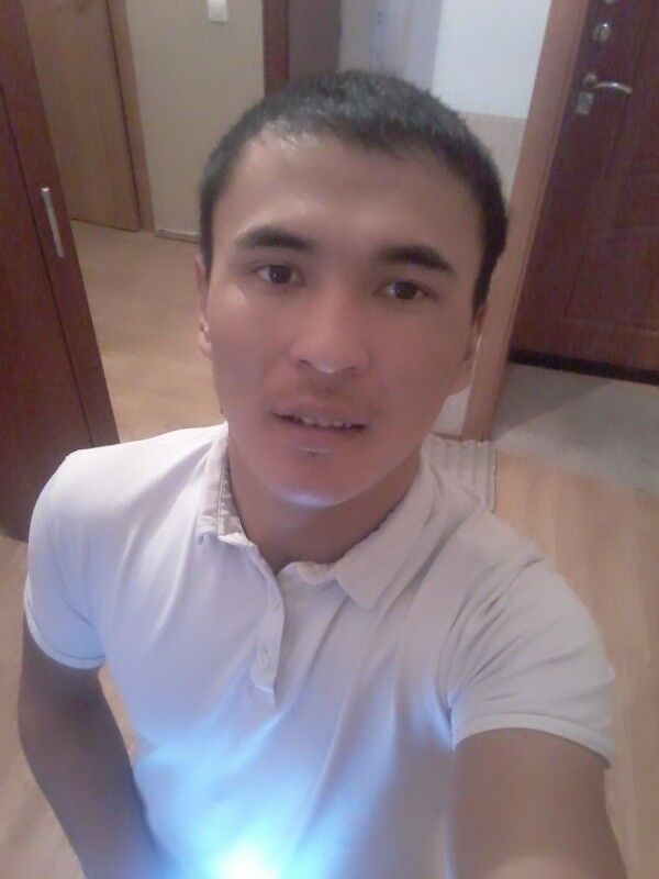 ���� 8342278 ������� �����, 32 ����, ���� ���������� � ������