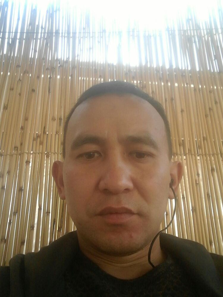  43986728  , 38 ,    