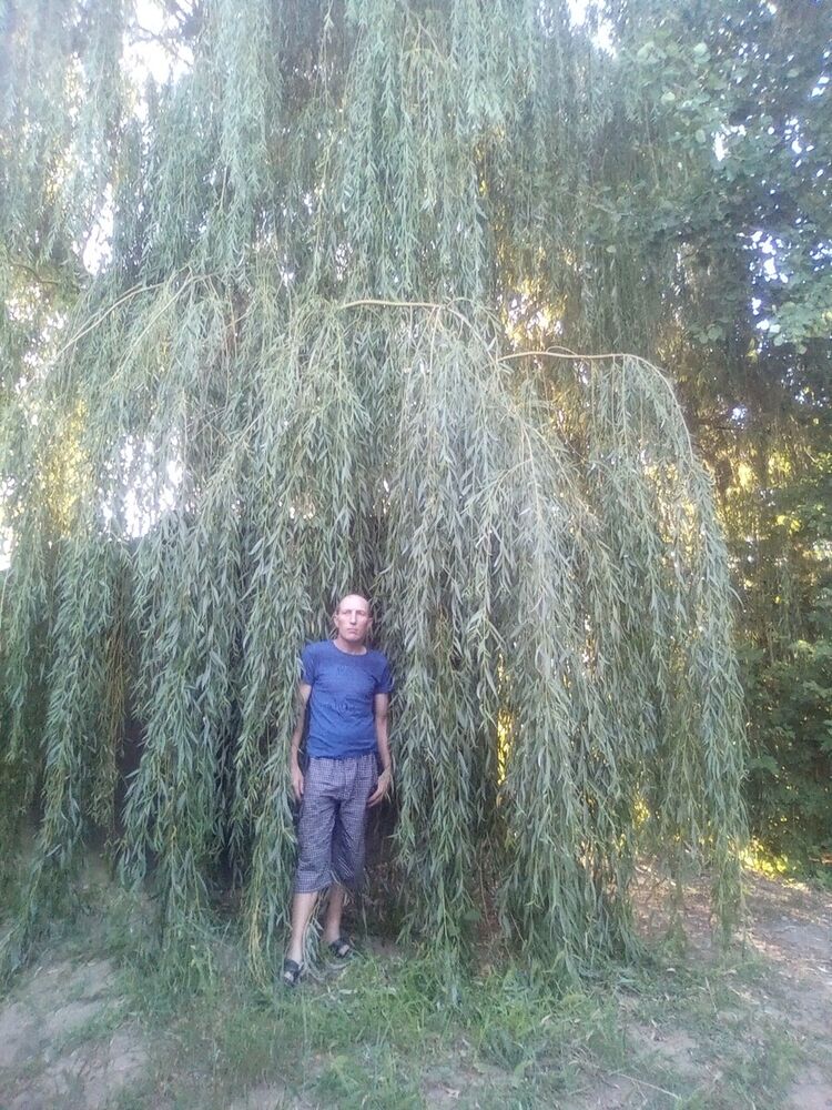  --,   , 40 ,   ,   , c 