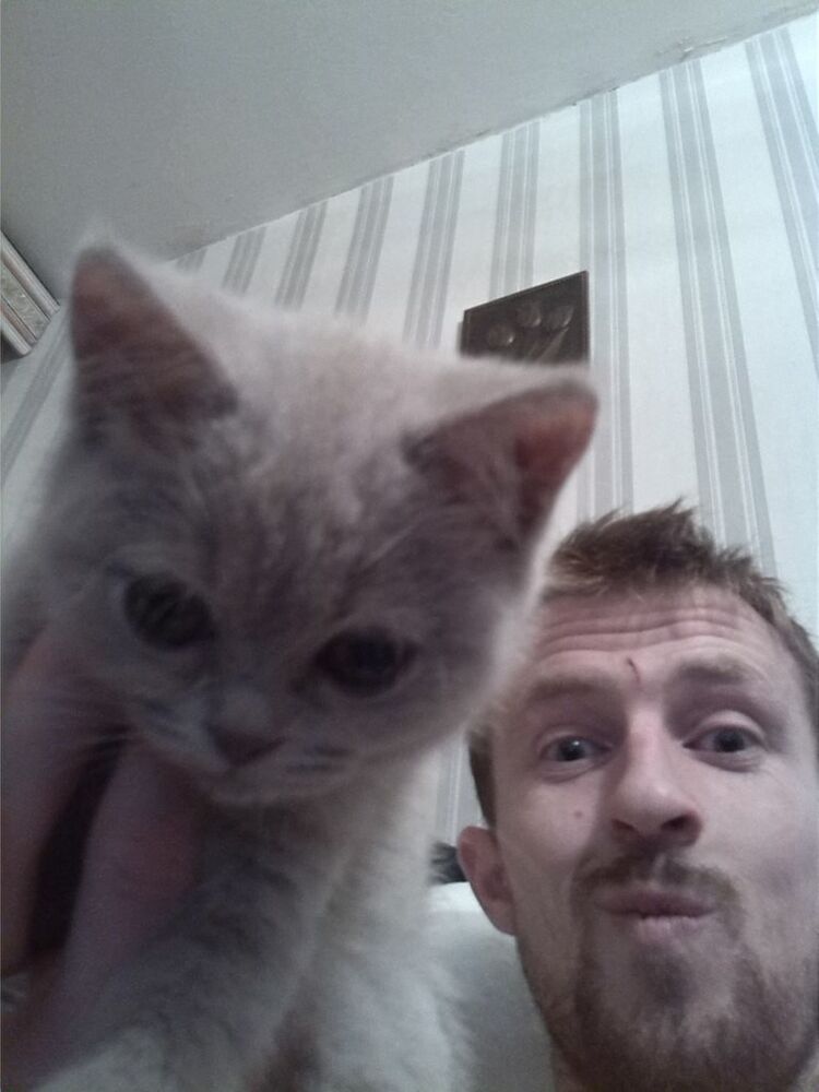  ,   , 34 ,   