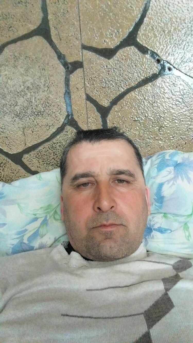  43317538  , 48 ,    