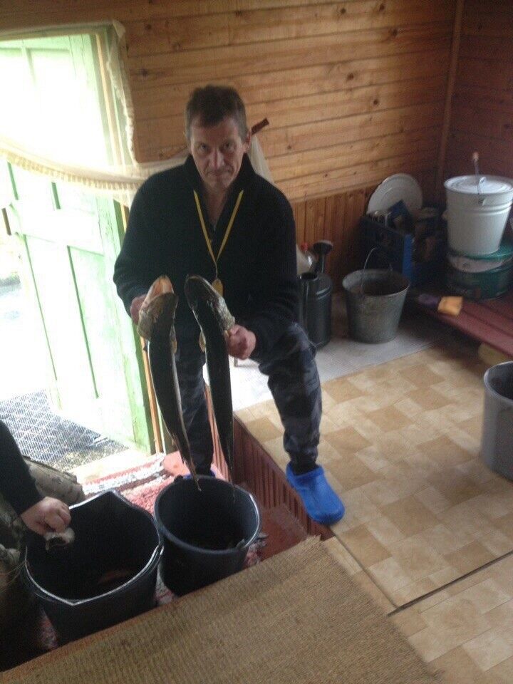 ���� 9753058 ������� ��������, 62 ����, ���� ���������� � �����-����������