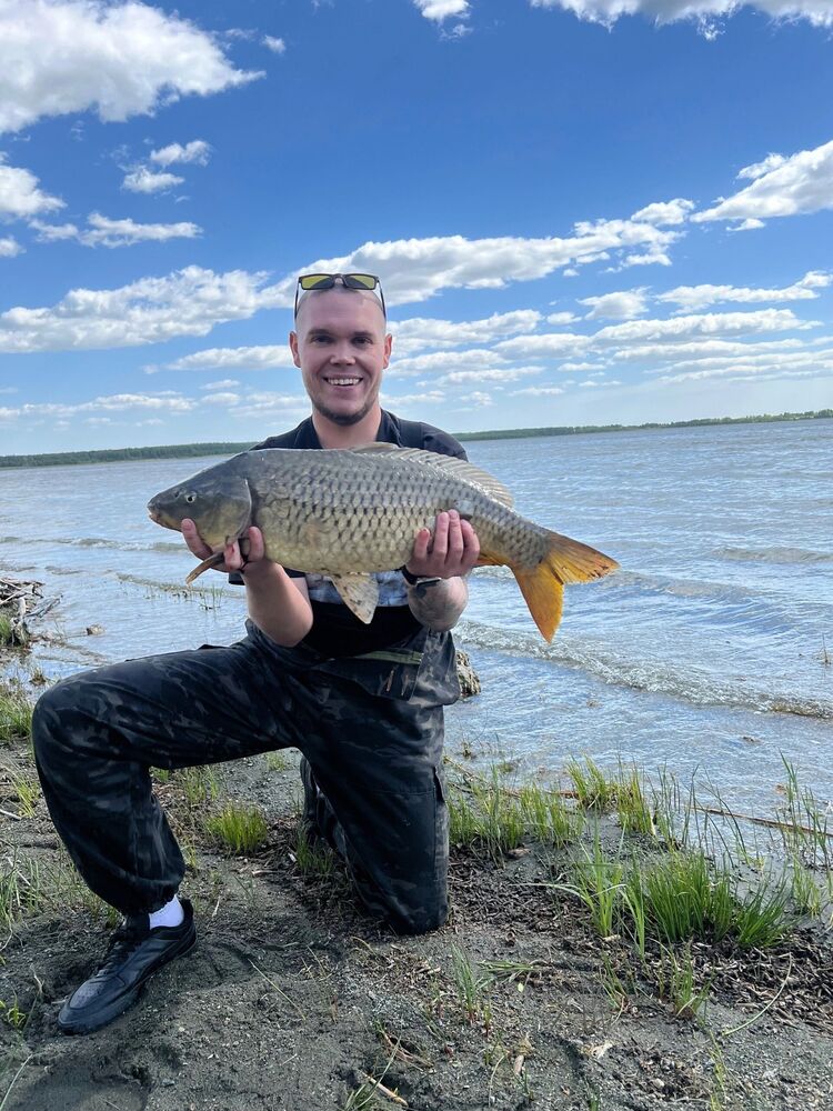 ���������� �������, ���� ������� �������, 31 ���, ������������ ��� ������, ����� � ���������, c�������� ���������, ���������