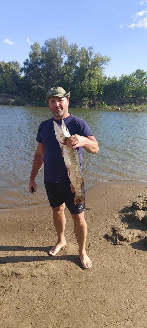 ���������� ������, ���� ������� ������, 50 ���, ������������ ��� ������, ����� � ���������