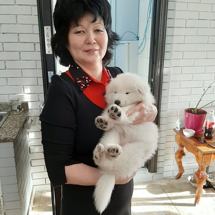  ,   , 55 ,   ,   
