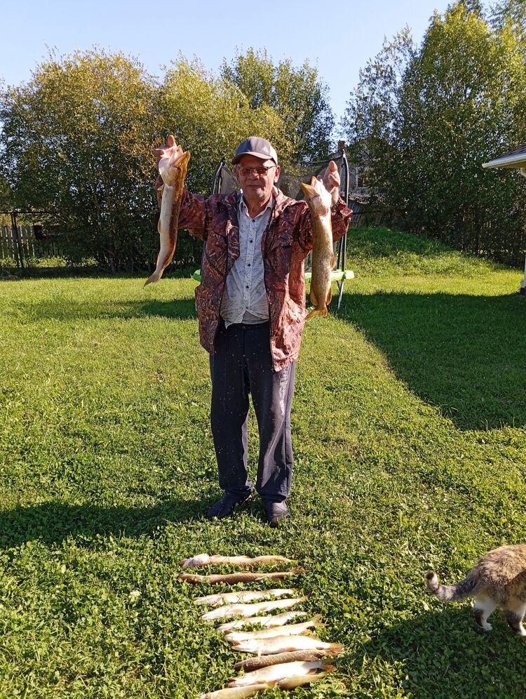  ,   Kamal, 64 ,   ,   