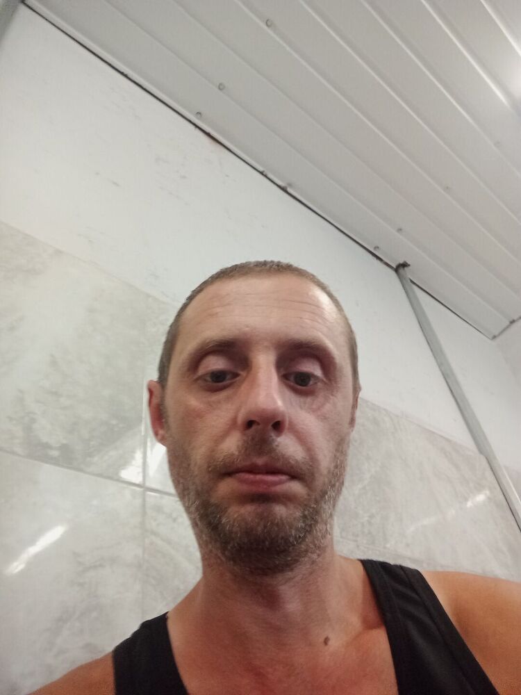  53686418  , 36 ,    