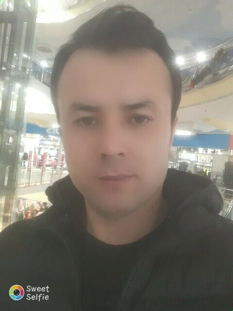  31503768  , 40 ,    -