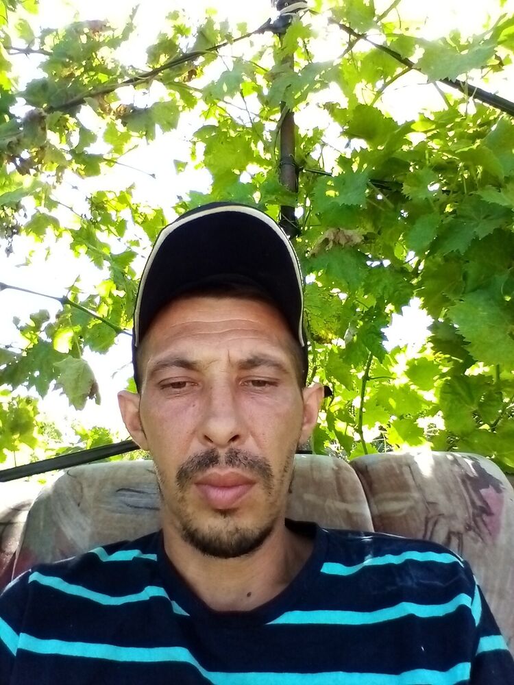  23392188  , 41 ,    