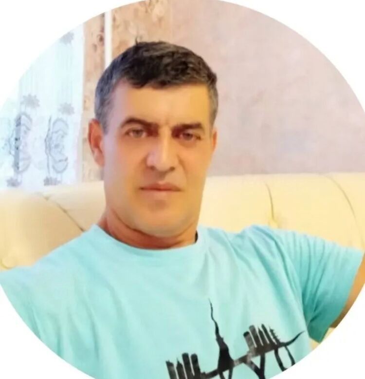  53633368  , 50 ,    
