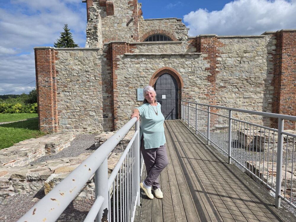  53478158  Dardeners, 65 ,    -