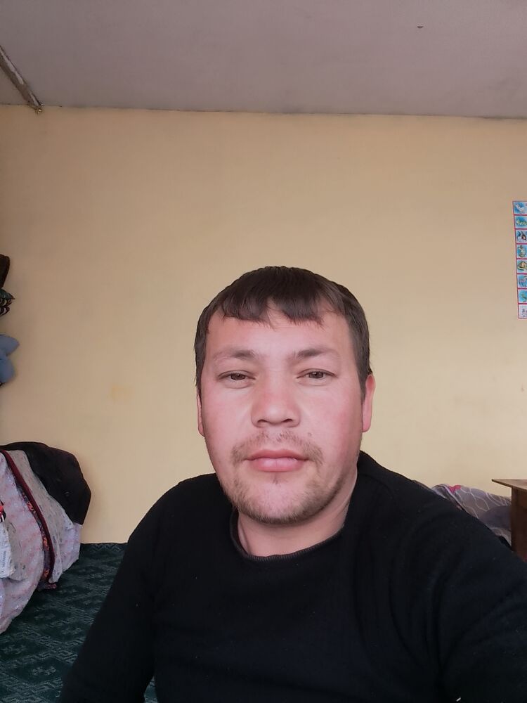  43949868  Saxobjon, 31 ,    