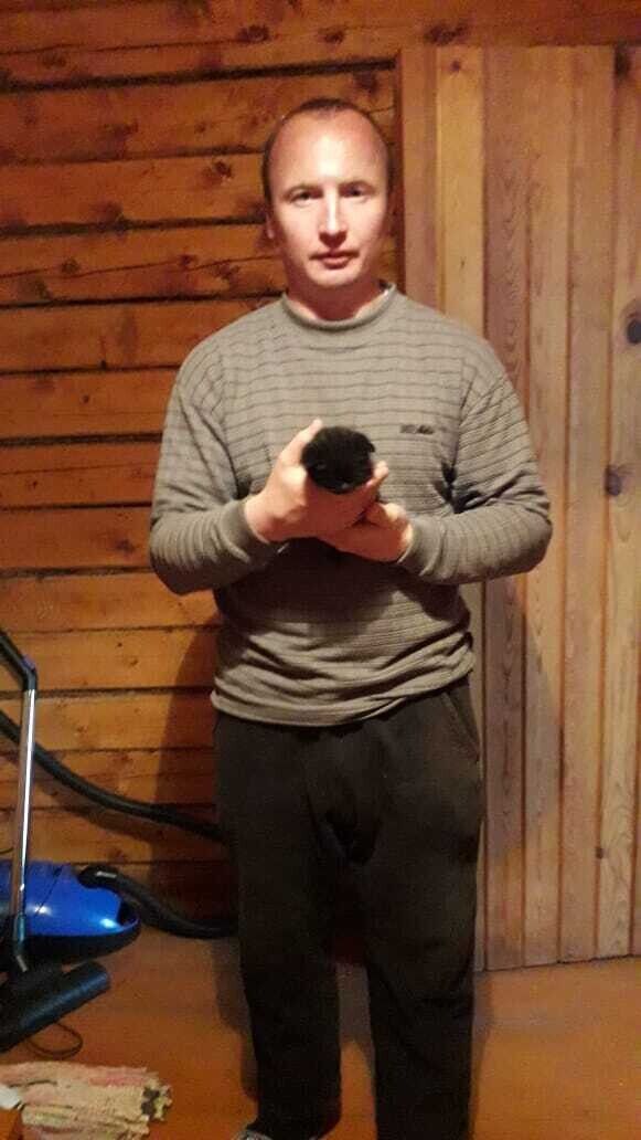 ���������� ������, ���� ������� �����, 39 ���, ������������ ��� ������, ����� � ���������