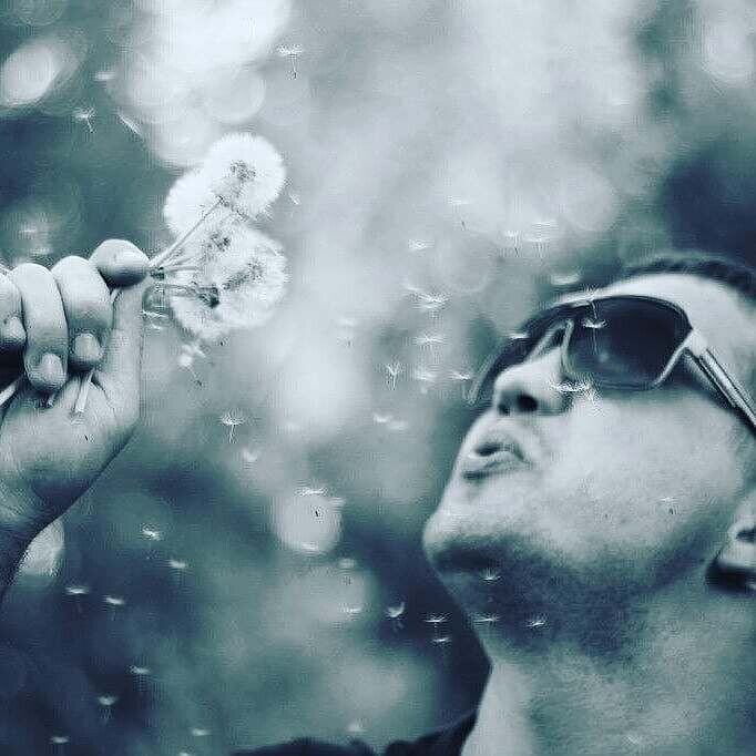  20473488  , 36 ,    