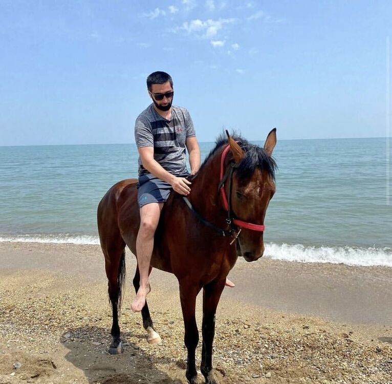 ���������� ���������, ���� ������� ����, 34 ����, ������������ ��� ������, ���������