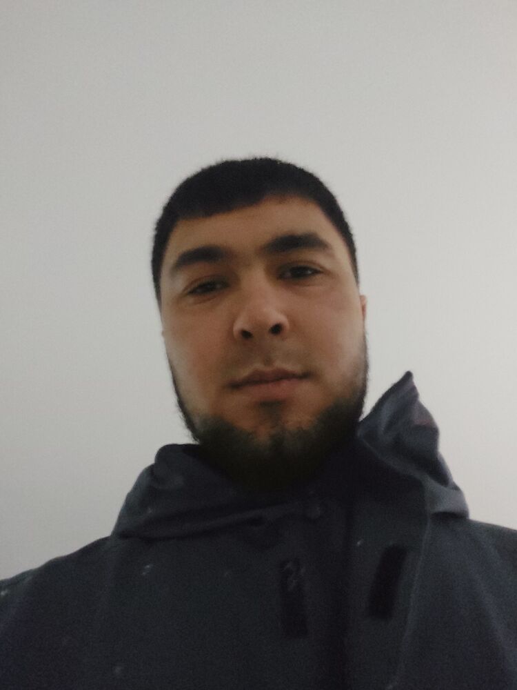  50873178  , 25 ,    