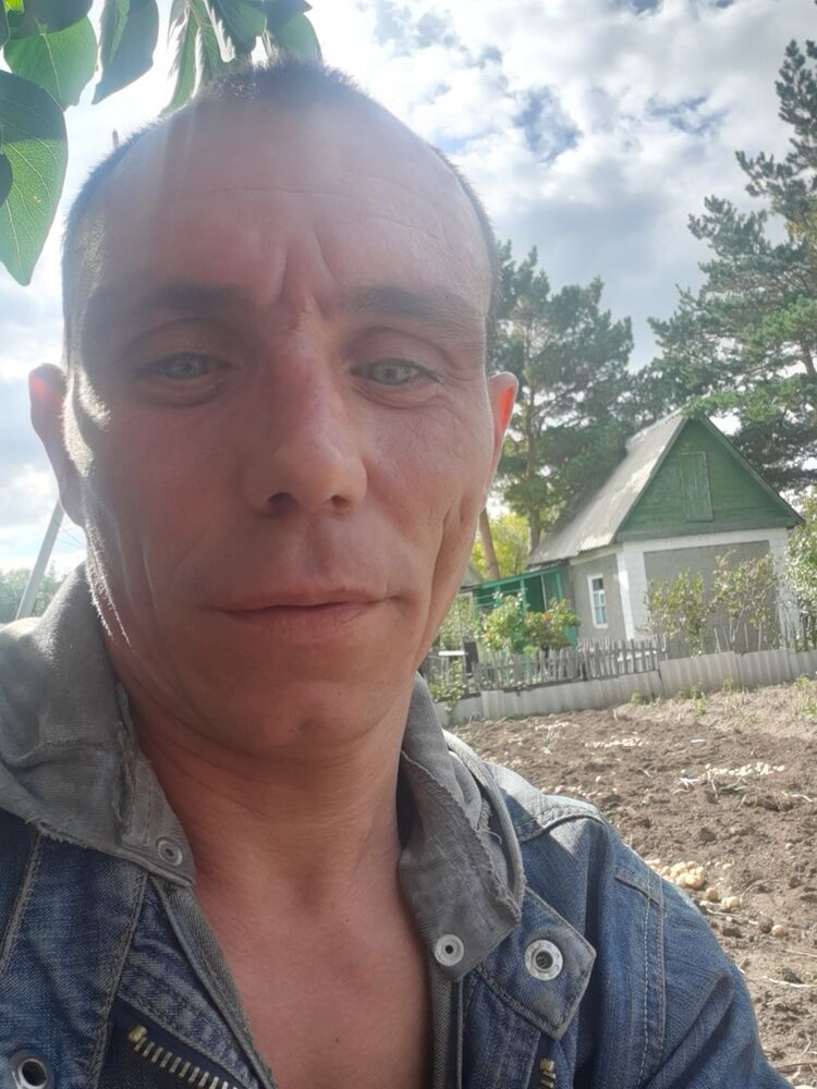  17805308  , 46 ,    