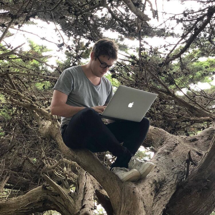 ���� 49600658 ������� �����, 31 ���, ���� ���������� � ��������