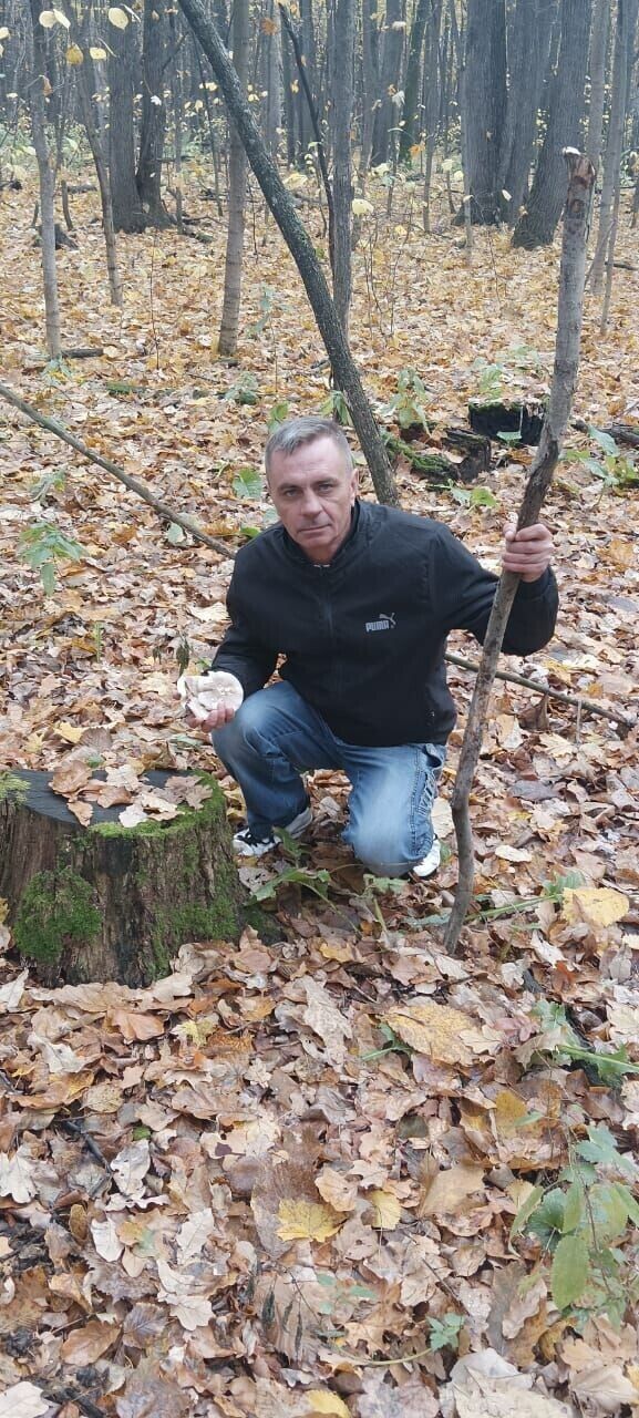 ���������� ����������, ���� ������� ��������, 49 ���, ������������ ��� ������, ����� � ���������