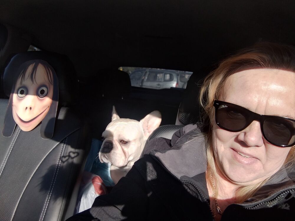  53981868  , 53 ,    -