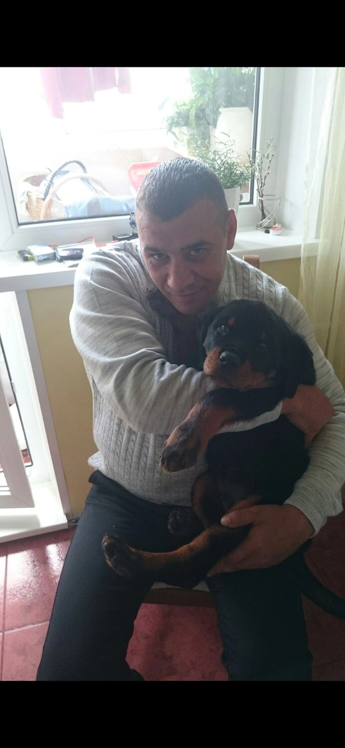 ���� 26679188 ������� ������, 44 ����, ���� ���������� � ������