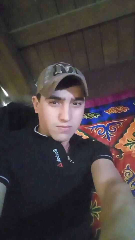  45056848  , 31 ,    